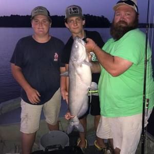 Meet your Posher, Tanner